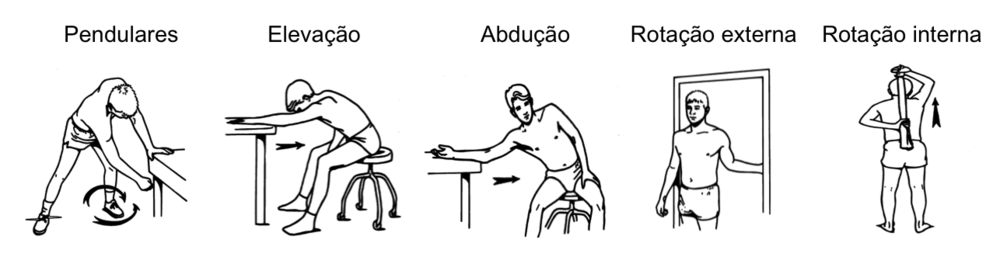 Imagem: Demonstração de exercícios de fisioterapia pós-cirúrgicos.